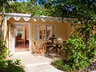 Caribbean Premium