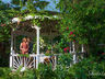 Honeymoon Packages