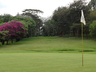 Royal Nairobi Golf Club