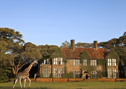 Giraffe Manor