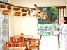 Giraffe Manor