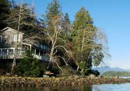 Red Crow on the Waterfront