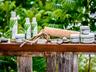Eco Spa