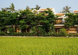 Hoi An Chic Green Retreat