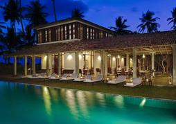 The Frangipani Tree By Edwards Collection