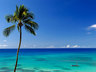 Ocean View