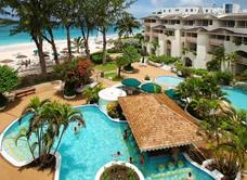 Bougainvillea Barbados