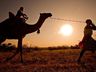 Camel Trekking