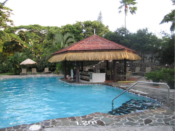 Swim-Up Pool Bar