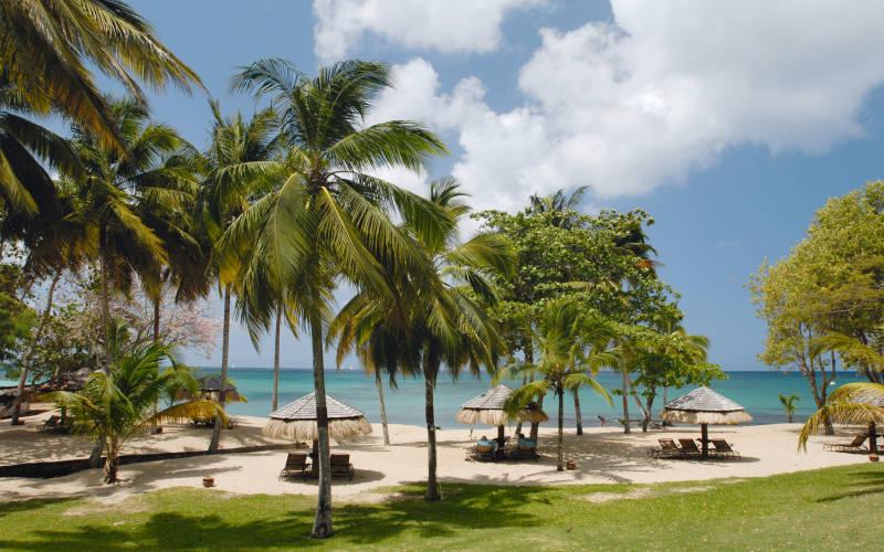 Beach View