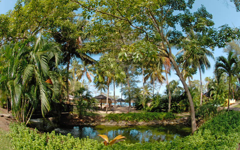 garden