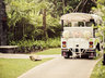 Wedding Truck