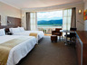 King Hilton Guest Room