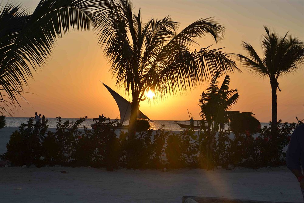 Sunset View