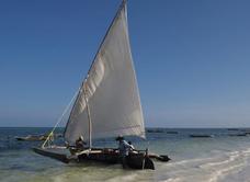 Hotel Riu Palace Zanzibar - All Inclusive - Adults Only