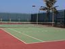 Tenis
