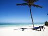 Beach Ocean View