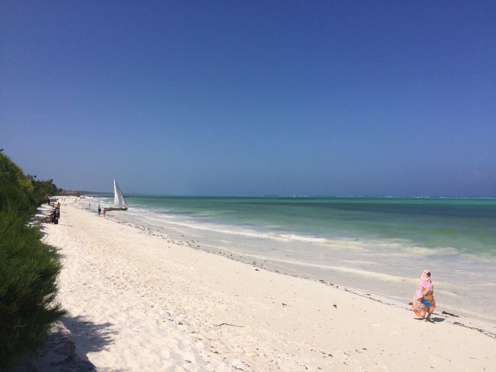 Beach Ocean View