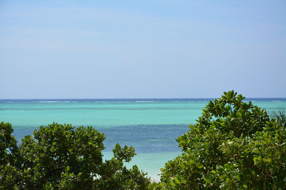 Beach Ocean View
