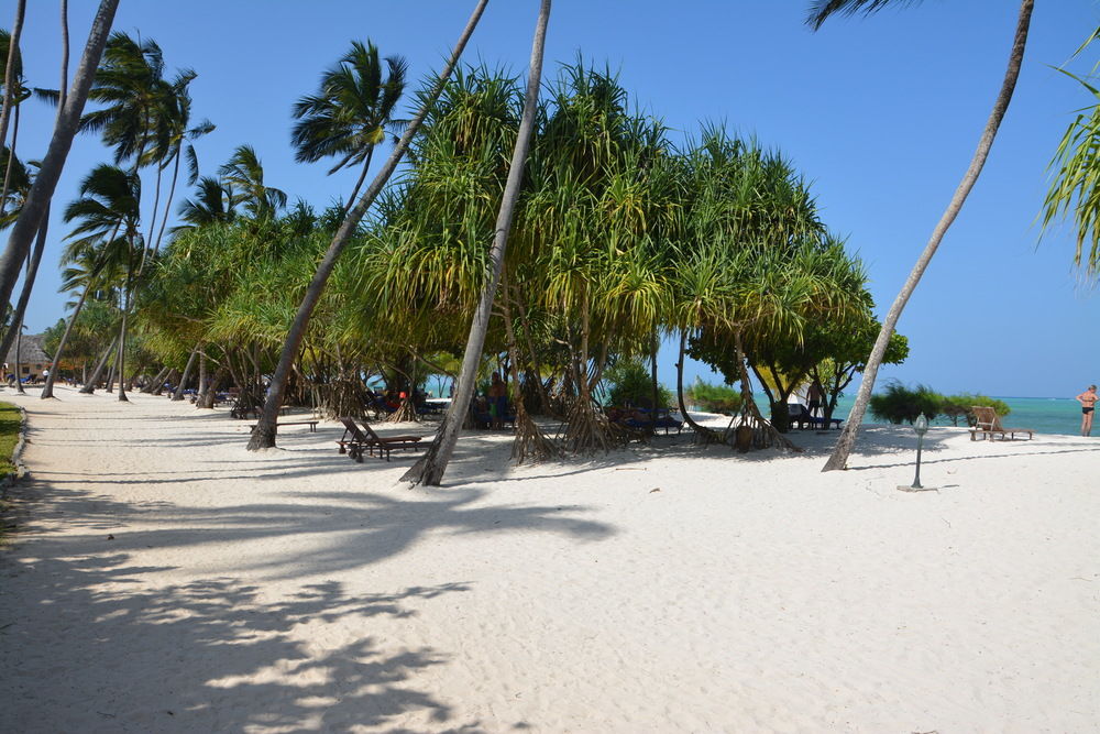 Beach View