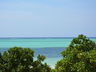 Beach Ocean View