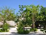 Property Ground