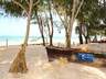 Blue Marlin Beach Restaurant