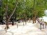 Blue Marlin Beach Restaurant