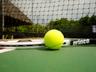 Tennis Ball