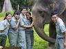 Elephants