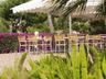 Poolside Bar