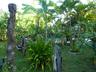 Grounds