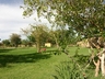 outside of etosha camp
