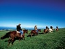 Horseback Adventure