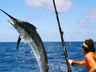 Deep Sea Fishing