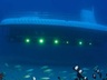 Atlantis Submarine