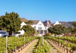 The Cellars-Hohenort