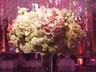 Champagne Room