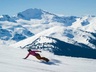 SKI/SNOWBOARD