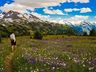 Hilton Whistler Resort & Spa