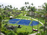 Hawaii Lawn
