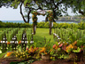 The Bayside Lawn