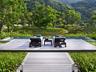 Banyan Tree