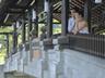 Banyan Tree