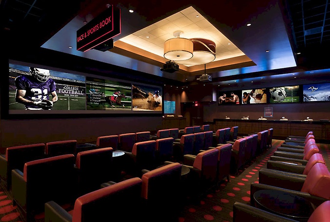  	Sports Book