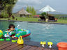 Villa The Jiwa
