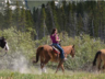 Horseback Riding