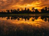 Private sunrise tour of Angkor