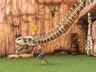 Childrens Play Area - Outdoor