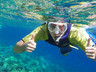 Dive